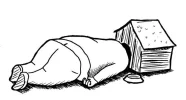 kennel21.webp