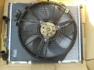new rad 2.webp