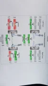 IMG-20170808-WA0004.webp