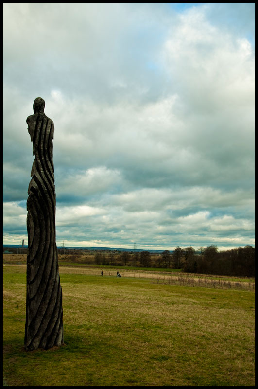 TreeCarving.jpg