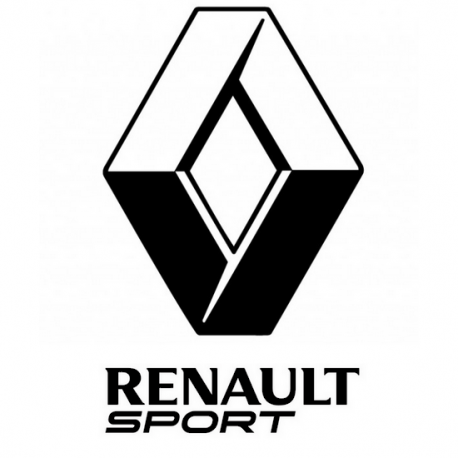 stickers-de-toit-renault.jpg